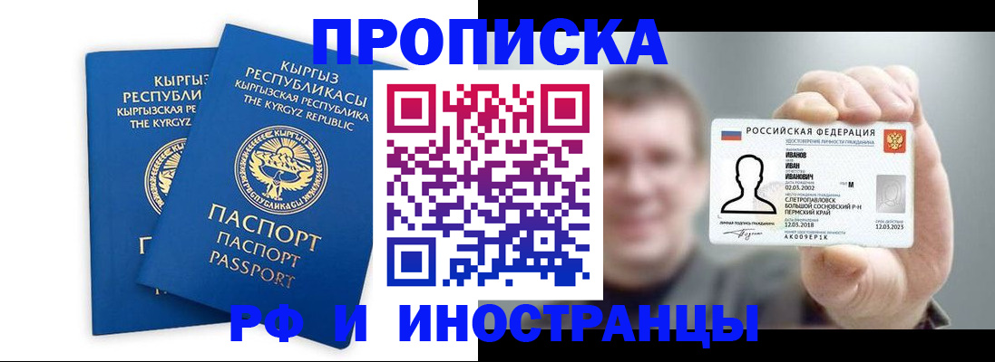 регистрация в Курской области
